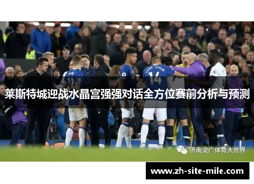 莱斯特城迎战水晶宫强强对话全方位赛前分析与预测