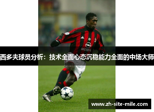 西多夫球员分析:技术全面心态沉稳能力全面的中场大师 西多夫球员分析:技术全面心态沉稳能力全面的中场大师