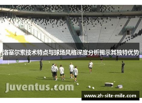 洛塞尔索技术特点与球场风格深度分析揭示其独特优势