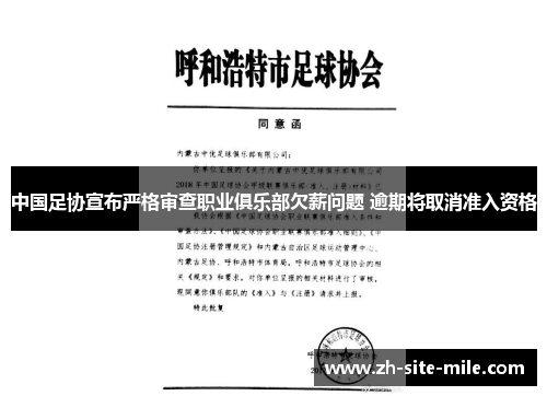 中国足协宣布严格审查职业俱乐部欠薪问题 逾期将取消准入资格
